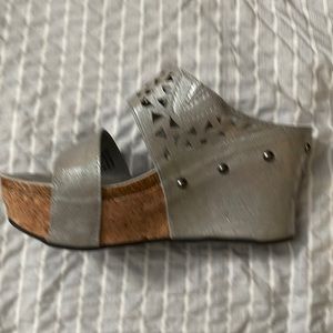 Silver wedges